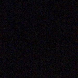 Meet your Posher, Darcy